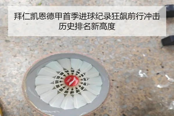 拜仁凯恩德甲首季进球纪录狂飙前行冲击历史排名新高度
