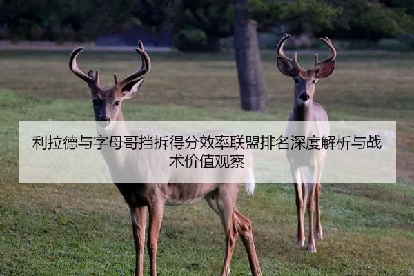 利拉德与字母哥挡拆得分效率联盟排名深度解析与战术价值观察